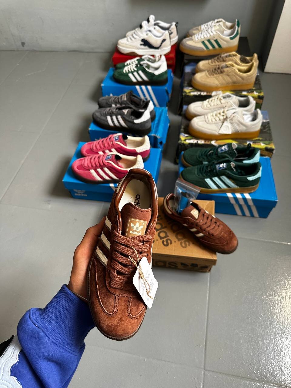 samba brown